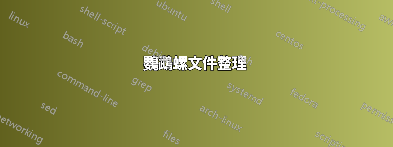 鸚鵡螺文件整理