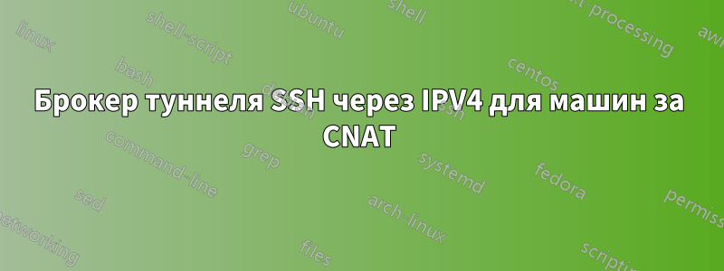 Брокер туннеля SSH через IPV4 для машин за CNAT
