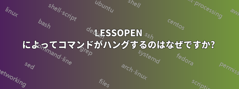 LESSOPEN によってコマンドがハングするのはなぜですか?