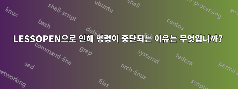 LESSOPEN으로 인해 명령이 중단되는 이유는 무엇입니까?