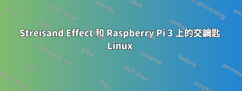 Streisand Effect 和 Raspberry Pi 3 上的交鑰匙 Linux