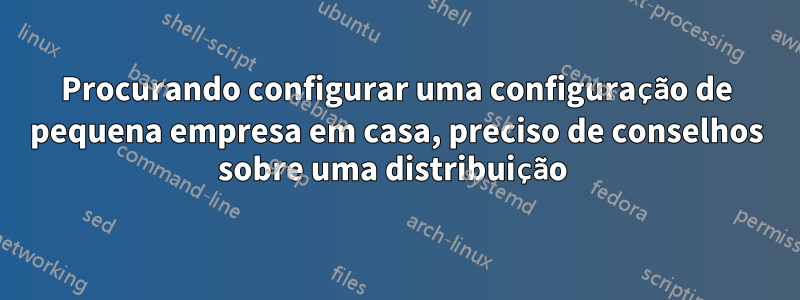 Procurando configurar uma configuração de pequena empresa em casa, preciso de conselhos sobre uma distribuição 