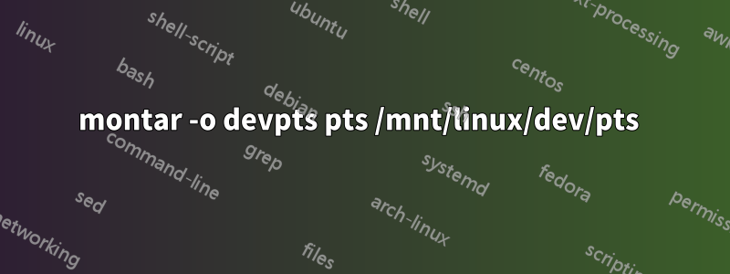 montar -o devpts pts /mnt/linux/dev/pts 