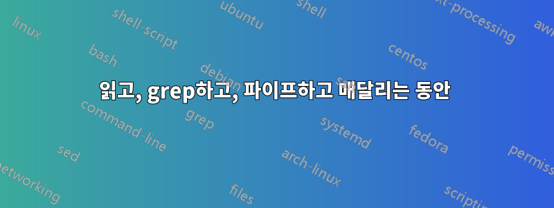 읽고, grep하고, 파이프하고 매달리는 동안