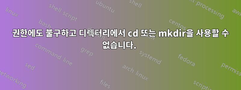 777 권한에도 불구하고 디렉터리에서 cd ​​또는 mkdir을 사용할 수 없습니다.