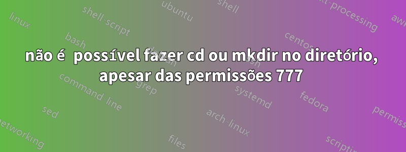 não é possível fazer cd ou mkdir no diretório, apesar das permissões 777