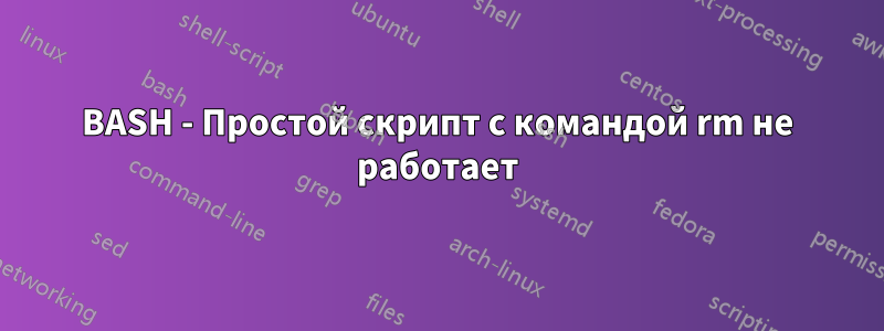 BASH - Простой скрипт с командой rm не работает
