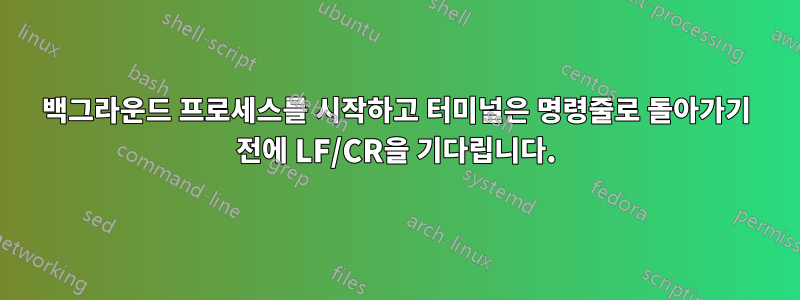 백그라운드 프로세스를 시작하고 터미널은 명령줄로 돌아가기 전에 LF/CR을 기다립니다.