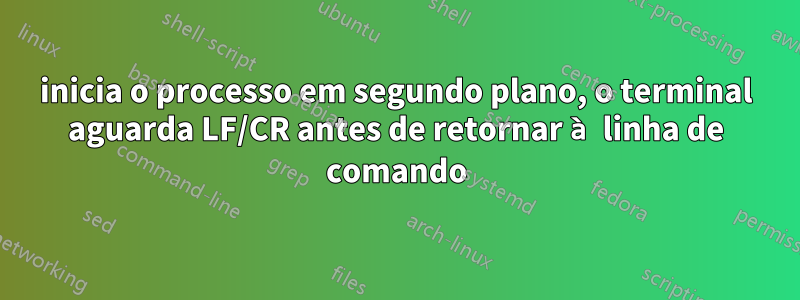 inicia o processo em segundo plano, o terminal aguarda LF/CR antes de retornar à linha de comando