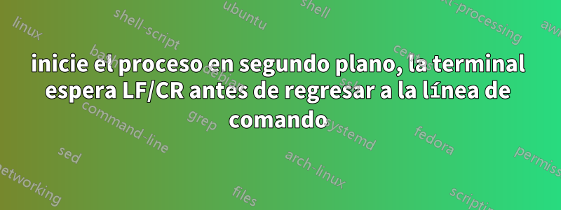 inicie el proceso en segundo plano, la terminal espera LF/CR antes de regresar a la línea de comando