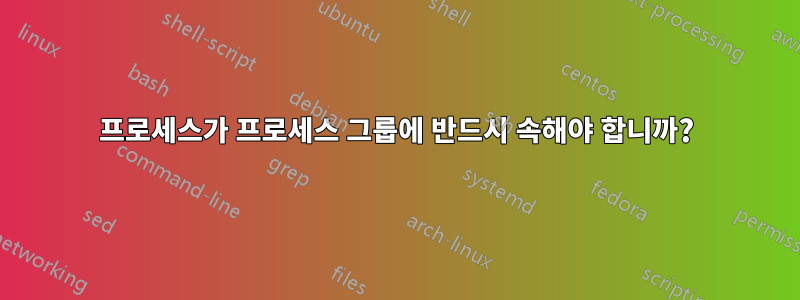 프로세스가 프로세스 그룹에 반드시 속해야 합니까?