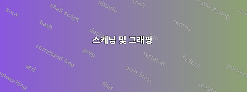 스캐닝 및 그래핑