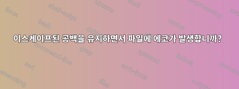 이스케이프된 공백을 유지하면서 파일에 에코가 발생합니까? 
