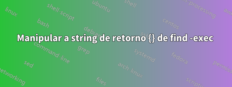 Manipular a string de retorno {} de find -exec