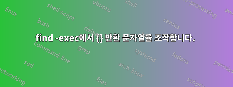 find -exec에서 {} 반환 문자열을 조작합니다.