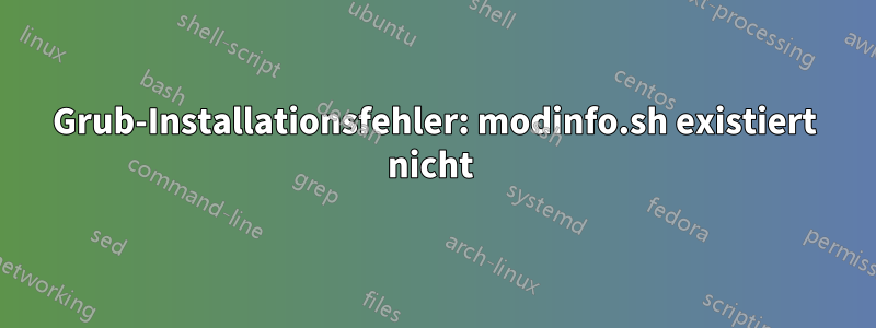 Grub-Installationsfehler: modinfo.sh existiert nicht 
