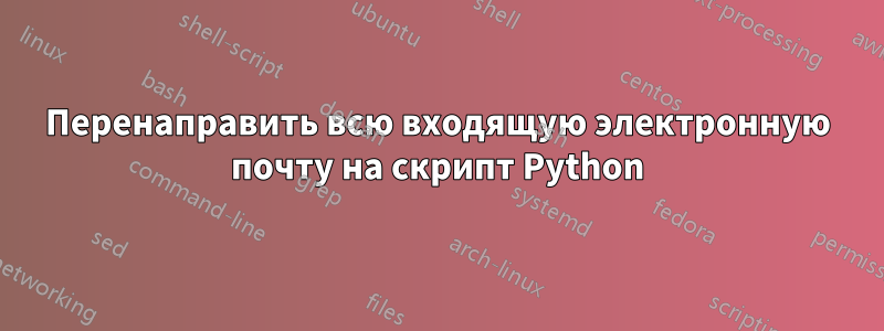 Перенаправить всю входящую электронную почту на скрипт Python
