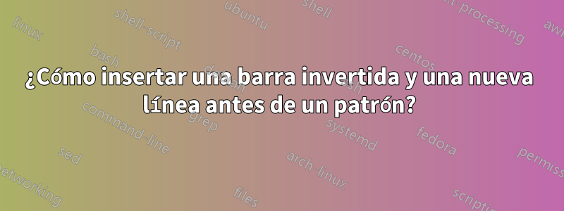 ¿Cómo insertar una barra invertida y una nueva línea antes de un patrón?