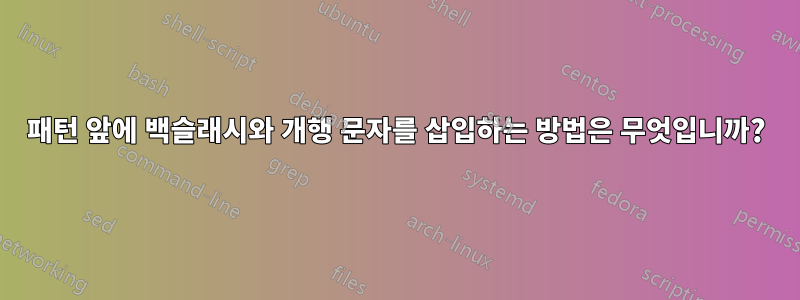 패턴 앞에 백슬래시와 개행 문자를 삽입하는 방법은 무엇입니까?