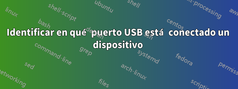 Identificar en qué puerto USB está conectado un dispositivo