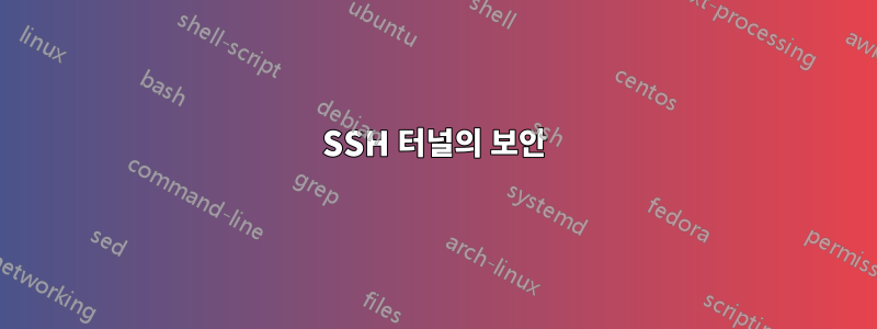 SSH 터널의 보안