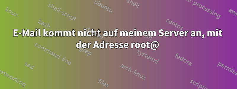 E-Mail kommt nicht auf meinem Server an, mit der Adresse root@