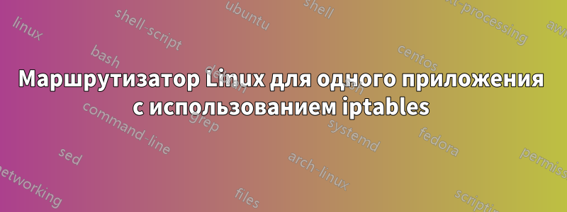 Маршрутизатор Linux для одного приложения с использованием iptables
