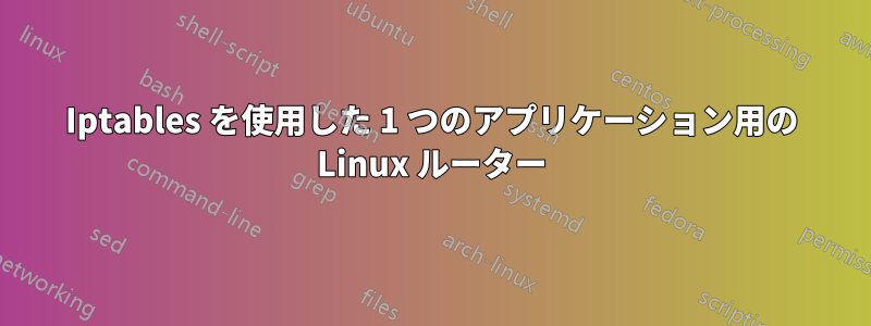 Iptables を使用した 1 つのアプリケーション用の Linux ルーター