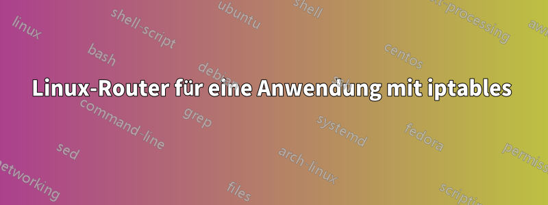 Linux-Router für eine Anwendung mit iptables