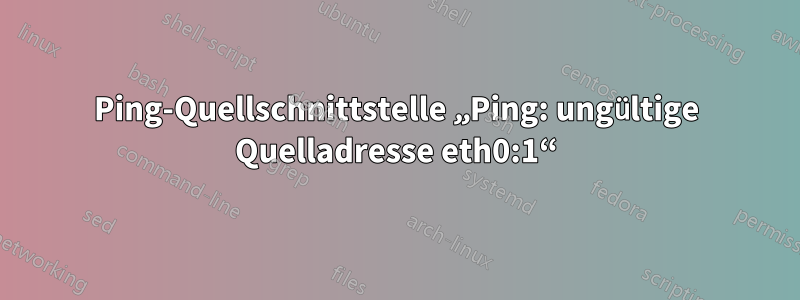 Ping-Quellschnittstelle „Ping: ungültige Quelladresse eth0:1“