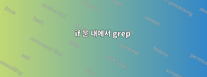 if 문 내에서 grep