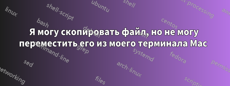 Я могу скопировать файл, но не могу переместить его из моего терминала Mac 