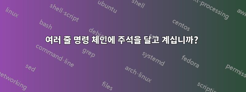 여러 줄 명령 체인에 주석을 달고 계십니까?