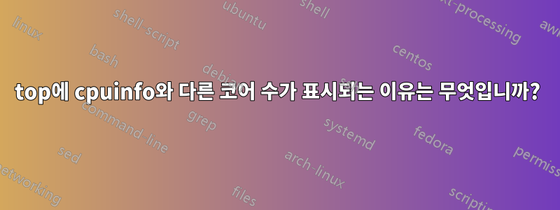 top에 cpuinfo와 다른 코어 수가 표시되는 이유는 무엇입니까?