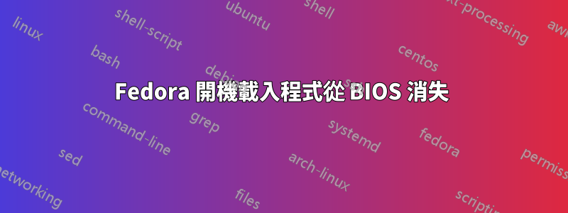 Fedora 開機載入程式從 BIOS 消失