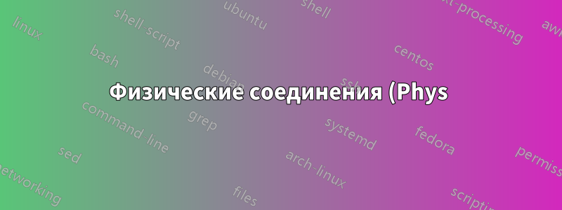 Физические соединения (Phys) и слот для жесткого диска