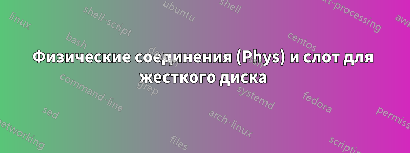 Физические соединения (Phys) и слот для жесткого диска