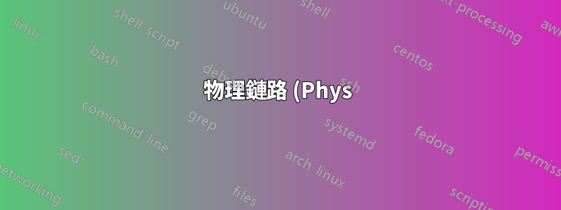 物理鏈路 (Phys) 和 HDD 插槽