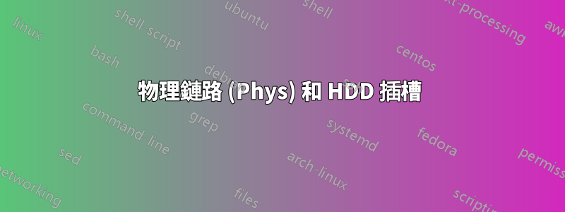 物理鏈路 (Phys) 和 HDD 插槽