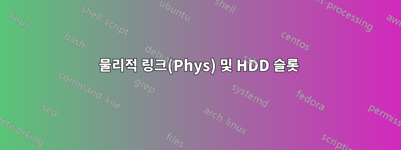 물리적 링크(Phys) 및 HDD 슬롯