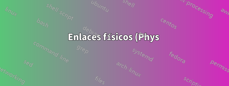 Enlaces físicos (Phys) y ranura para HDD