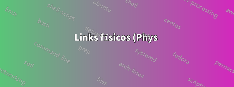 Links físicos (Phys) e slot HDD