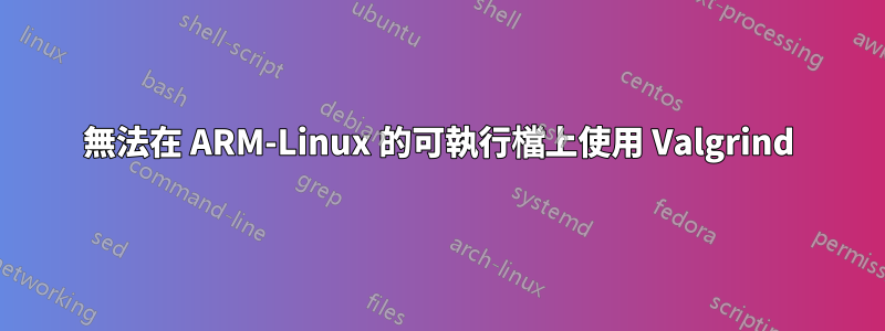 無法在 ARM-Linux 的可執行檔上使用 Valgrind