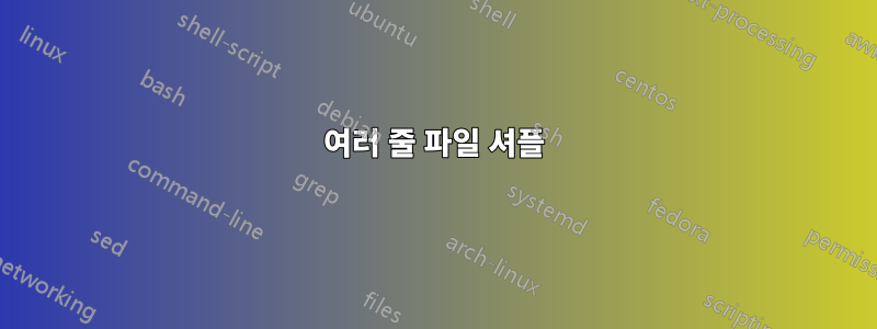 여러 줄 파일 셔플