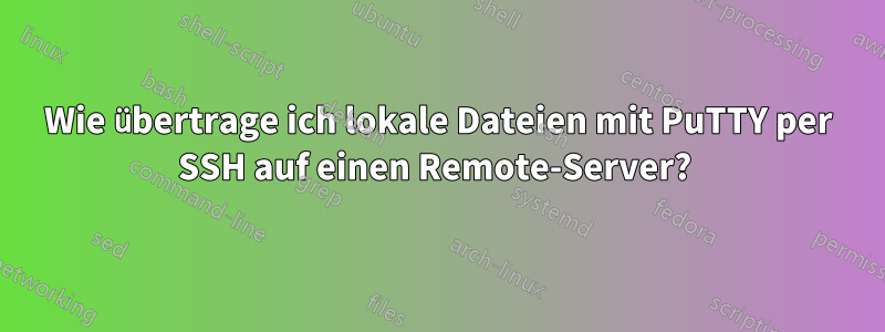 Wie übertrage ich lokale Dateien mit PuTTY per SSH auf einen Remote-Server? 