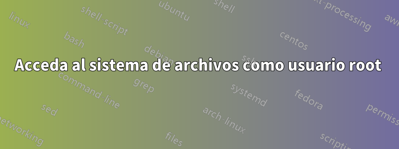 Acceda al sistema de archivos como usuario root