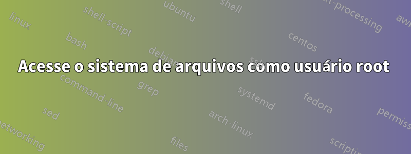 Acesse o sistema de arquivos como usuário root