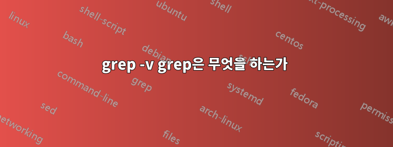 grep -v grep은 무엇을 하는가