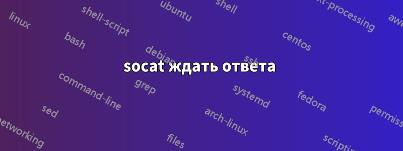 socat ждать ответа