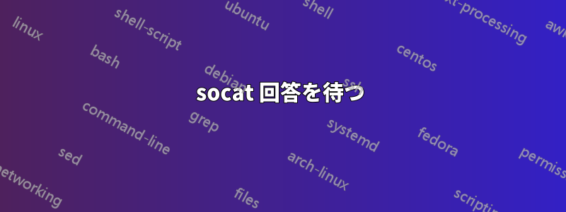 socat 回答を待つ